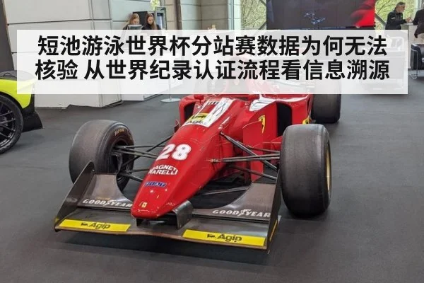 短池游泳世界杯分站赛数据为何无法核验 从世界纪录认证流程看信息溯源